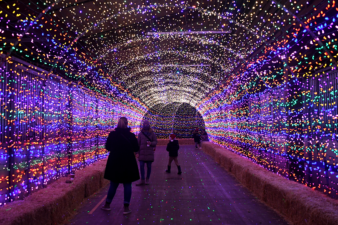 Holiday Magic at the Fair tunnel of light with people standing under it among light attractions for families